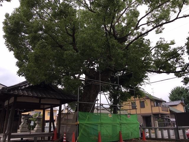 image1 (4)
